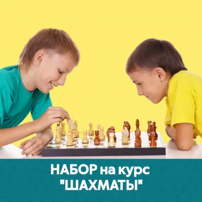Шахматы
