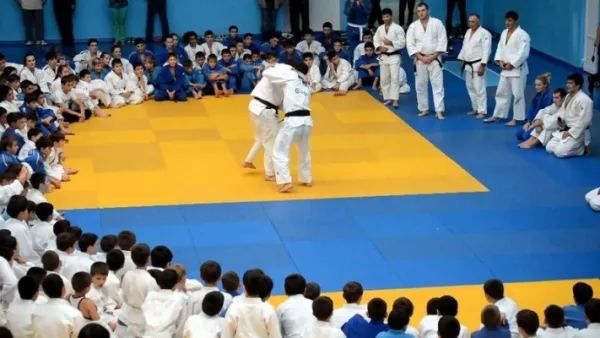 Спортивный клуб дзюдо и самбо Masters (в мкр. Крутые Ключи), фото 4