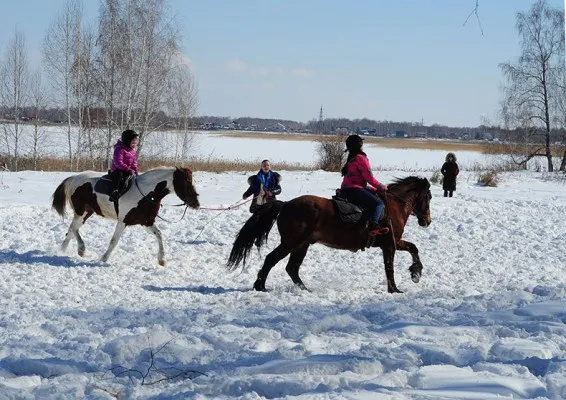 Верховая езда, фото 2