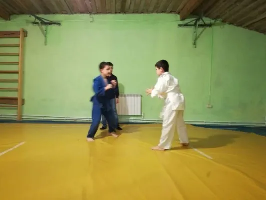 Дзюдо