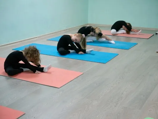 Гимнастика в Восточном Дегунино GymBalance