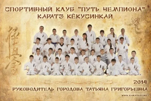 Спортивный клуб карате «Путь чемпиона» (на пр. Ленина)