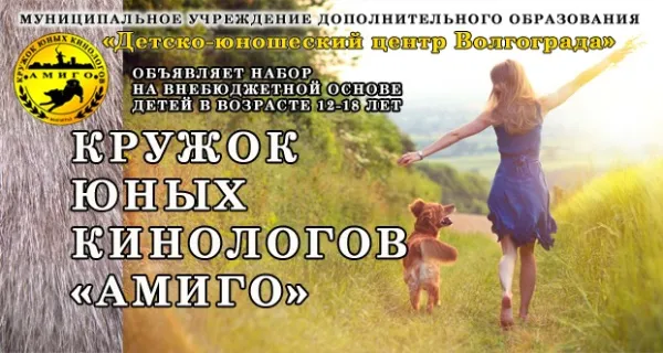 Кружок юных кинологов "Амиго", фото 2