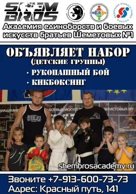 Академия единоборств братьев Шеметовых