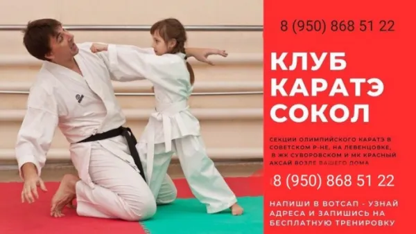 Каратэ Шотокан для детей и их родителей, фото 2