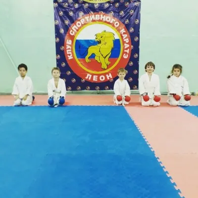 Каратэ WKF, фото 1
