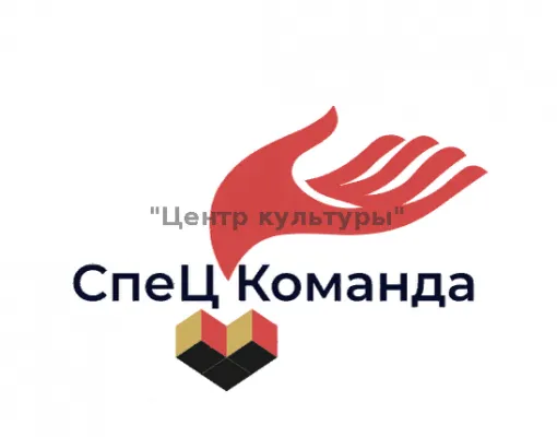 Клуб волонтёров "СпеЦКоманда"
