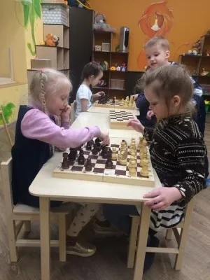 Шахматы, фото 2