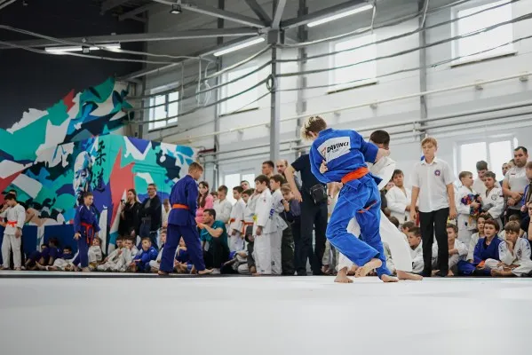 Школа дзюдо DAVINCI judo, фото 2