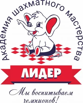 Шахматы