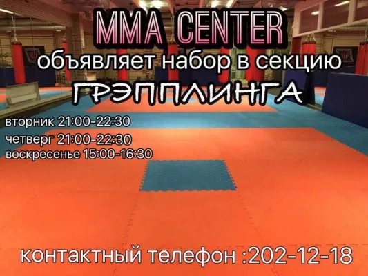Грепплинг