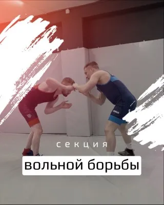Набор детей и взрослых в секцию вольной борьбы, фото 1