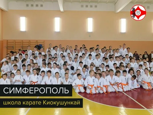 Карате киокусинкай