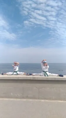 Шотокан каратэ и кобудо, фото 2