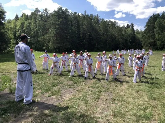 Тренировки по тхэквондо для детей, фото 4