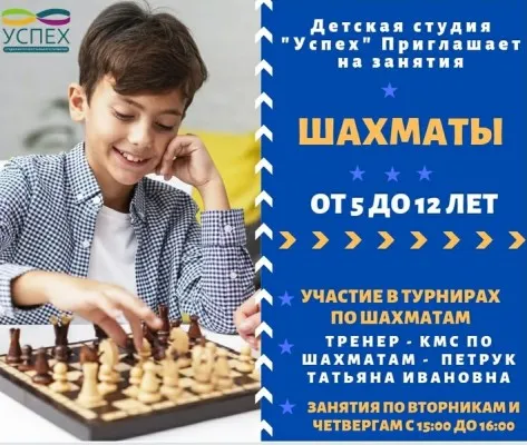 Шахматы, фото 2