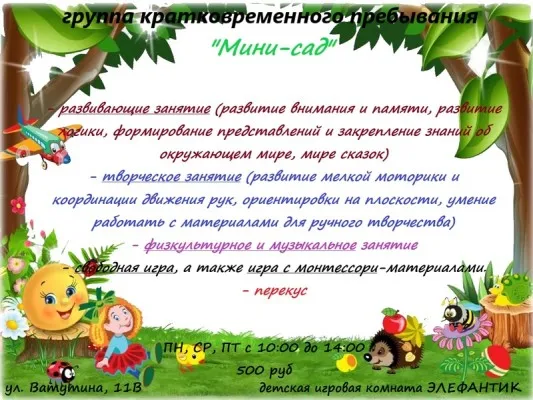 Мини-сад