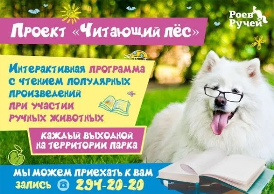Интерактивная выездная программа «Читающий пёс», фото 1