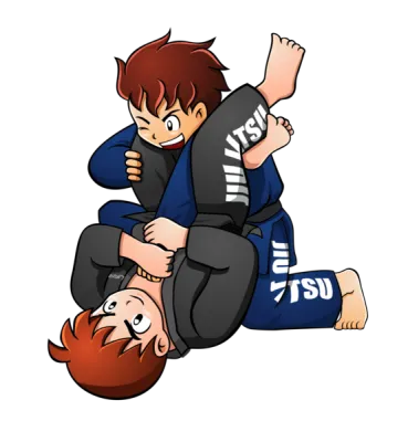 Бразильское джиу-джитсу. Смешанные единоборства, фото 2