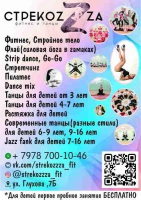 Студия фитнеса и танца СТРЕКОZZZА (СТРЕКОЗА)