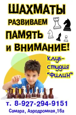 шахматы