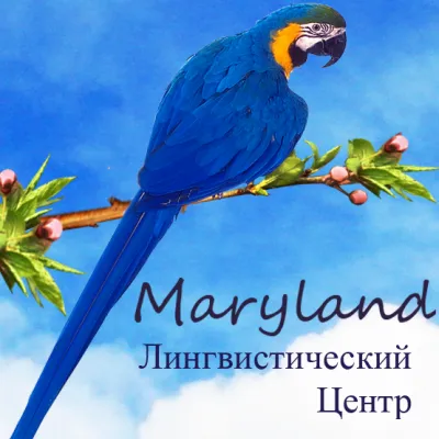 Лингвистический центр Maryland: курсы иностранных языков