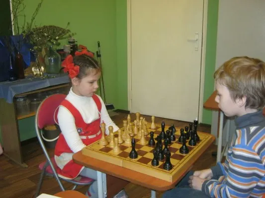 Шахматы