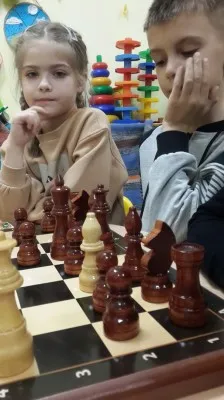шахматы, фото 3