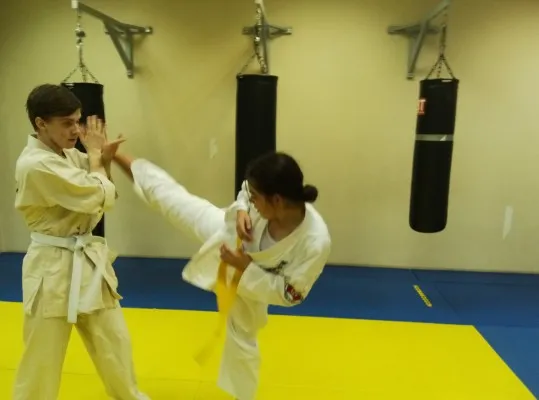 Ashihara karate, фото 5