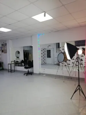 Дом талантов «Хилтон», фото 2