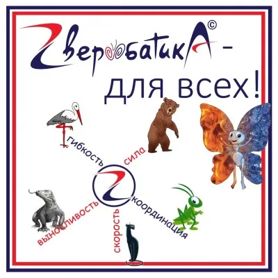 Спортивная гимнастика, акробатика, тренировки, фото 1