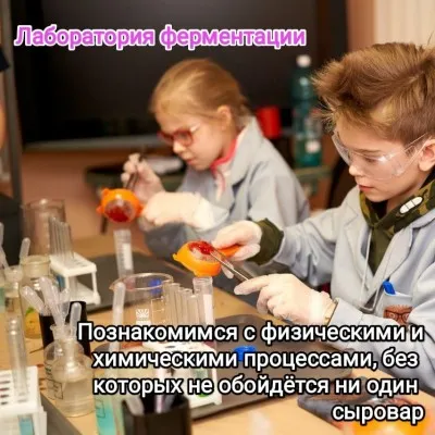 Научный квест "Химия еды", фото 5