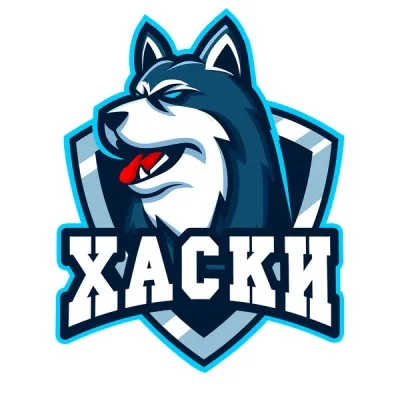 Детская футбольная школа «Хаски» (р-н Детского парка), фото 1