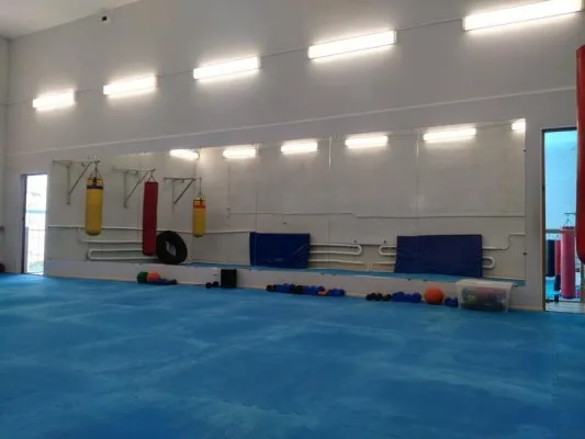 Школа айкидо (на ул. Ванеева), фото 4
