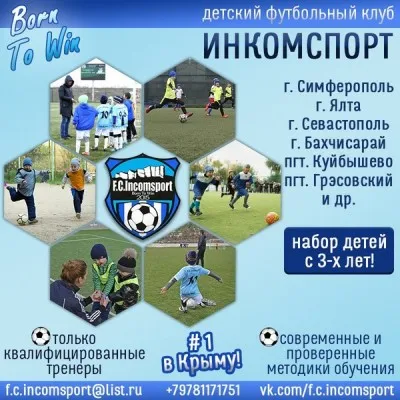 Детский футбольный клуб «Инкомспорт» (на ул. Красноармейской), фото 1
