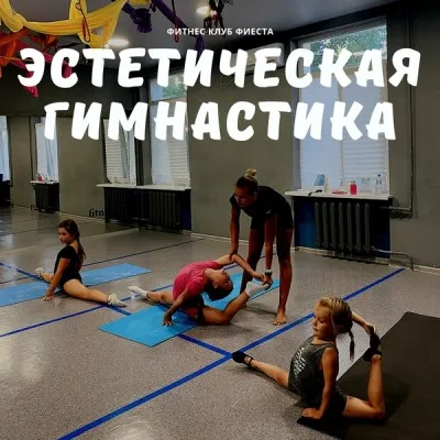 Эстетическая гимнастика, фото 1