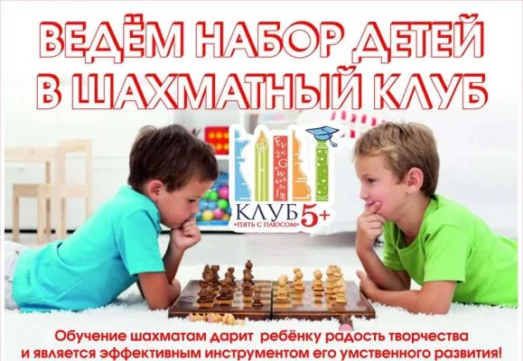 Шахматы