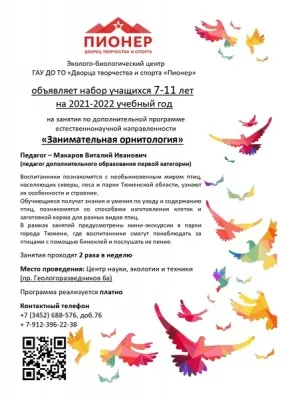 Занимательная орнитология