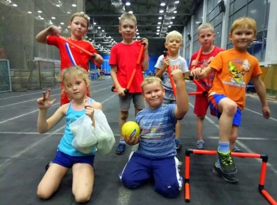Федерация школьного спорта, фото 3