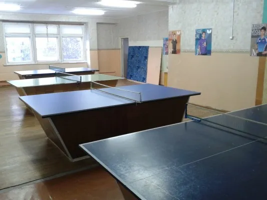 Секция настольного тенниса