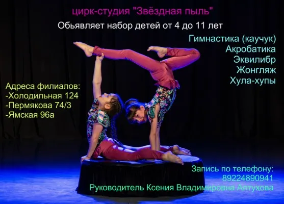 Цирк-студия «Звёздная пыль»