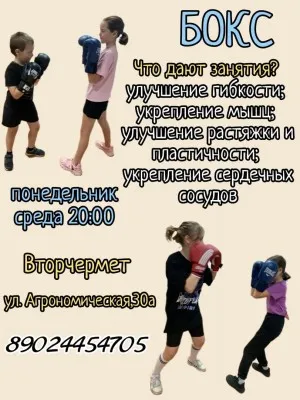 Бокс для детей и взрослых район Вторчермет в Екатеринбурге, фото 1