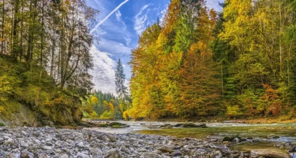 Ручеек (развитие речи и познавательной деятельности), фото 1