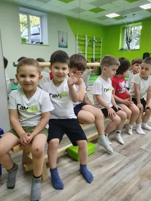Общеразвивающая гимнастика/Начальный уровень спортивной подготовки, фото 3