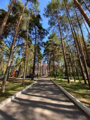 Креативная смена 29 октября - 4 ноября