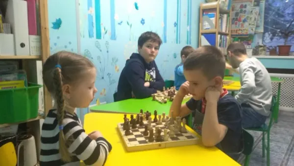 Шахматы