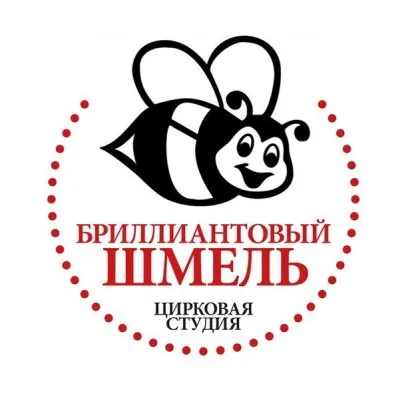 Цирковая студия «Бриллиантовый шмель»