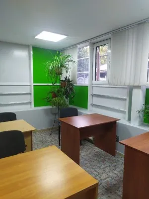 Репетитор к ЕГЭ и ОГЭ по школьным предметам