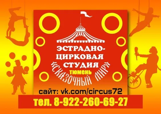 Эстрадно-цирковая студия «Сказочный мир» (на ул. Профсоюзной)