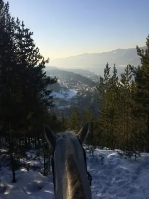 Конные прогулки